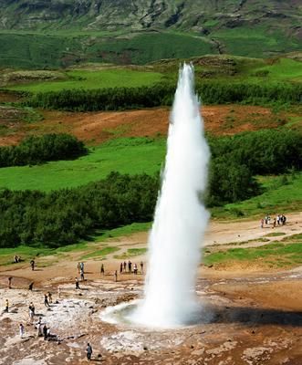 صورة الفندق 21