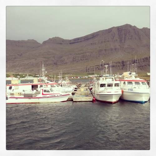 صورة الفندق 24