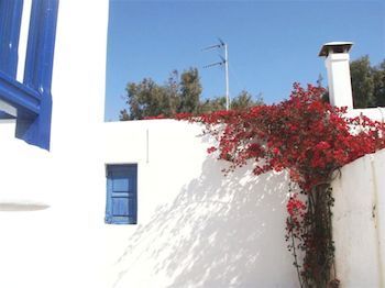 صورة الفندق 23