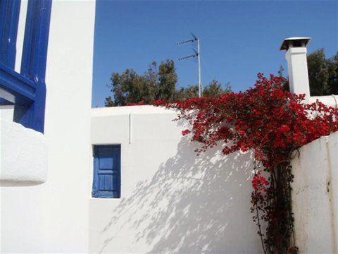 صورة الفندق 24