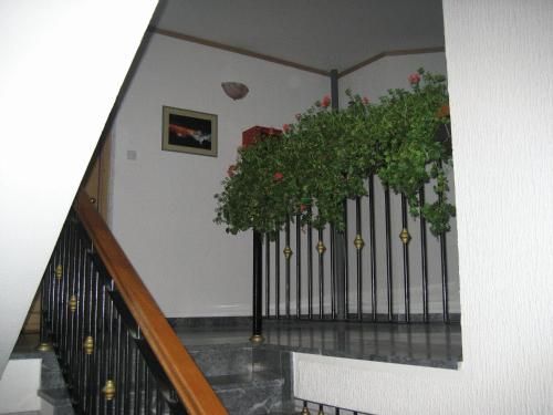 صورة الفندق 22
