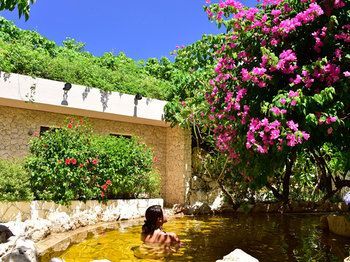 صورة الفندق 18
