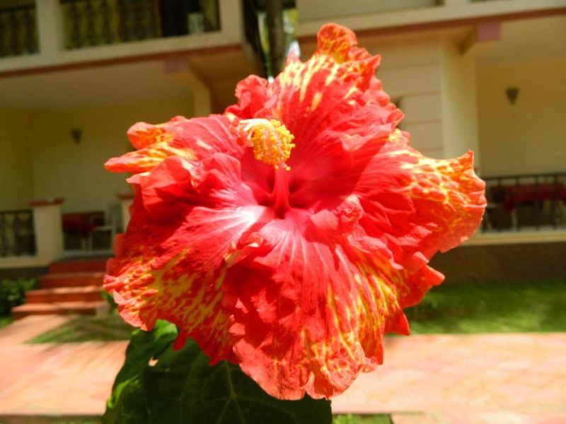 صورة الفندق 13