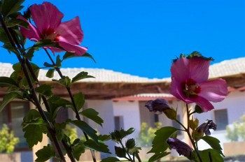صورة الفندق 14