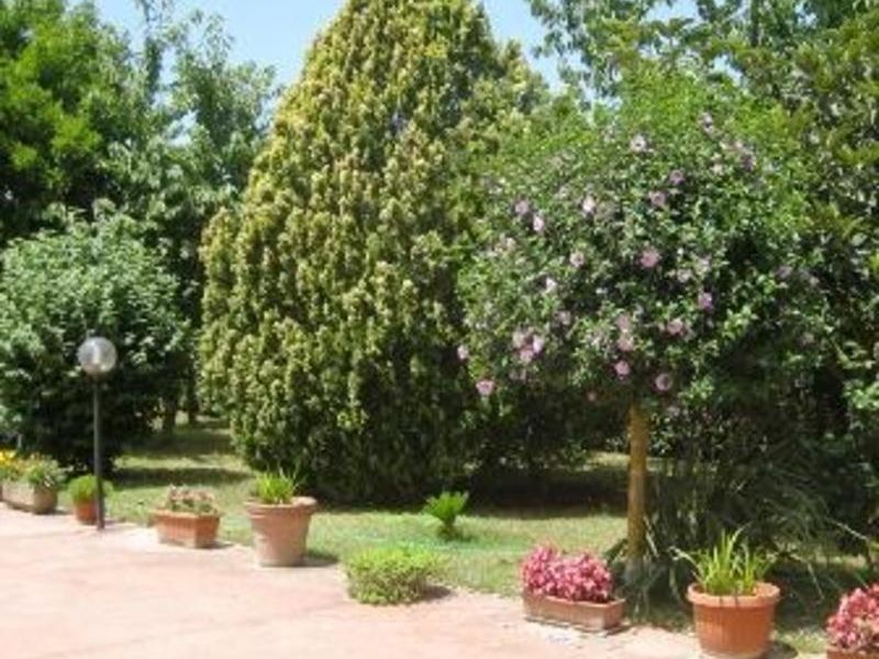صورة الفندق 16