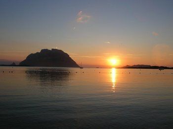 صورة الفندق 19