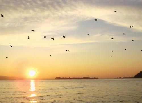 صورة الفندق 23