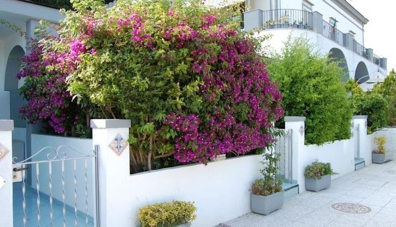 صورة الفندق 15
