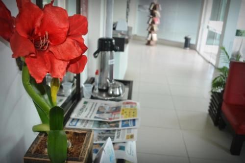 صورة الفندق 20