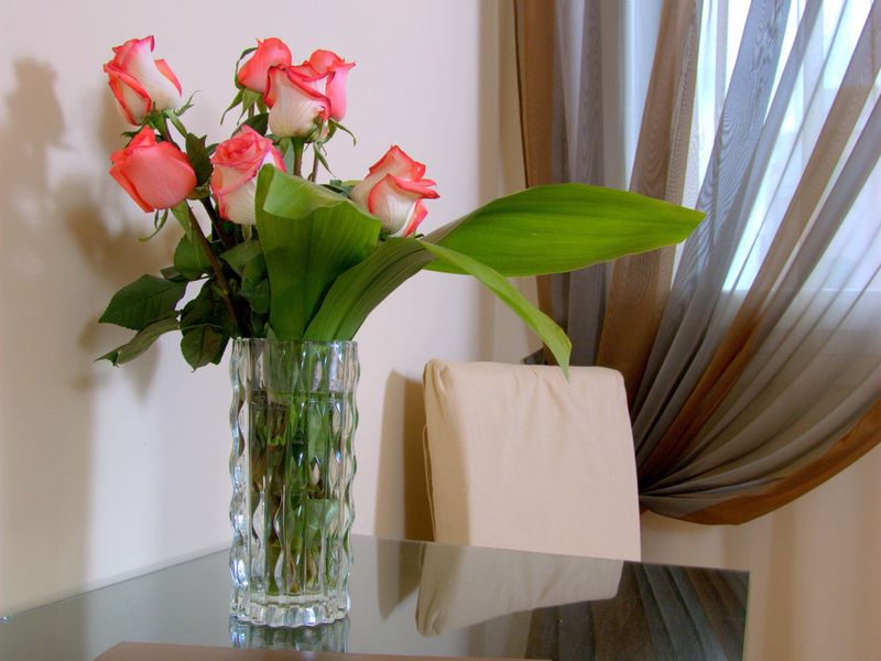 صورة الفندق 13