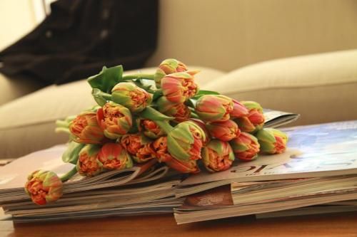 صورة الفندق 5