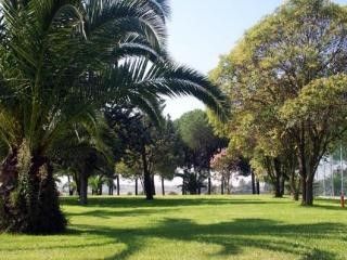 صورة الفندق 16