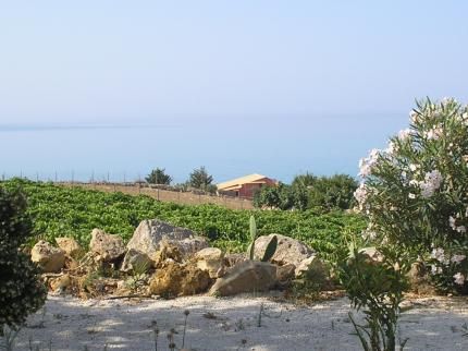 صورة الفندق 14