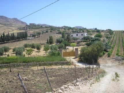 صورة الفندق 16
