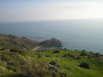 صورة الفندق 20