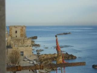 صورة الفندق 4