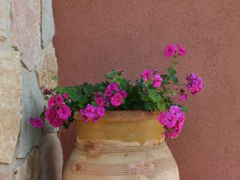 صورة الفندق 15