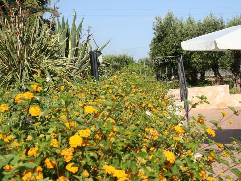 صورة الفندق 20