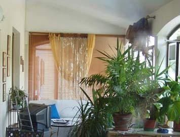 صورة الفندق 10