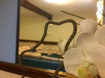 صورة الفندق 18