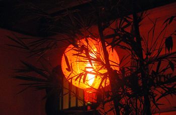 صورة الفندق 16