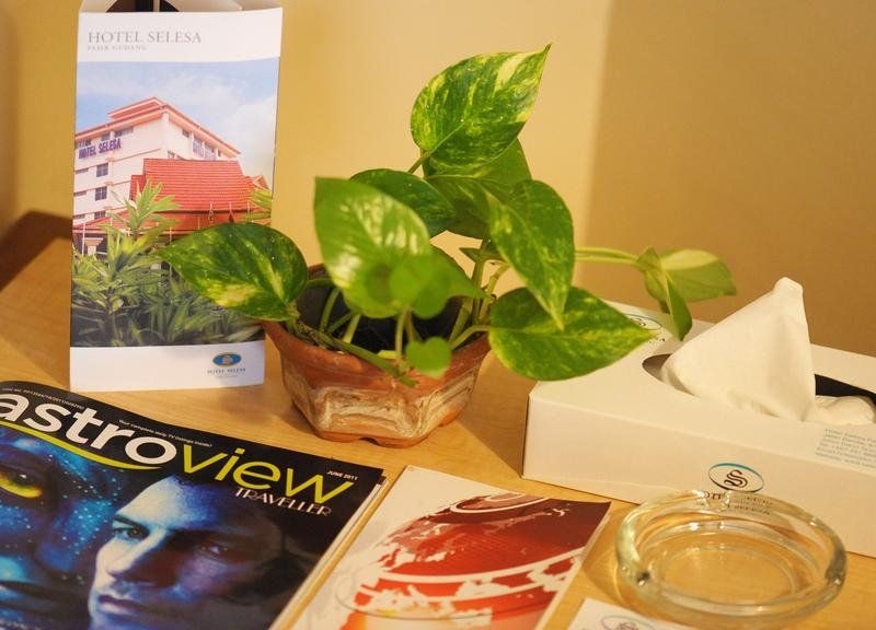 Hotel Photo 9
