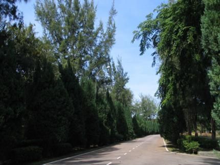 صورة الفندق 7