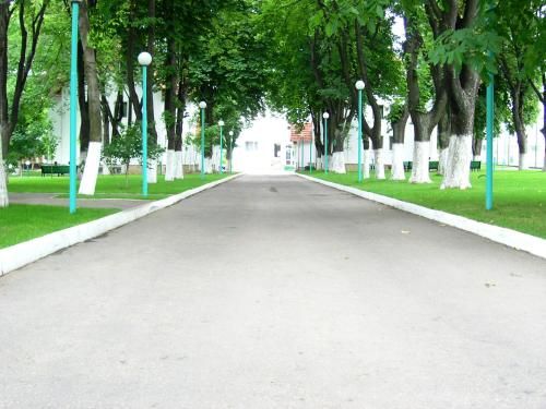 صورة الفندق 23