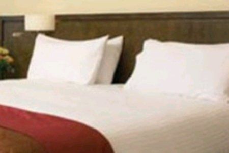 صورة الفندق 8