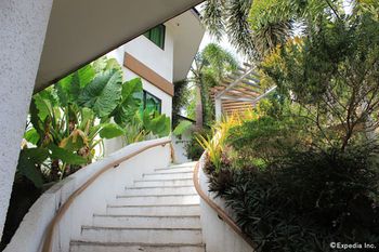 صورة الفندق 21