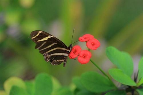 صورة الفندق 14