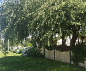 Abelia Cottage of Daylesford Botanical Daylesford Australia