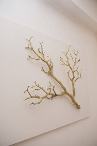 صورة الفندق 23