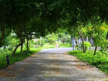 صورة الفندق 16