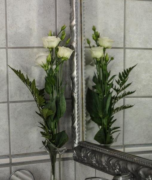 صورة الفندق 21