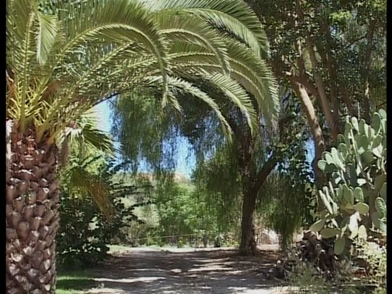 صورة الفندق 23