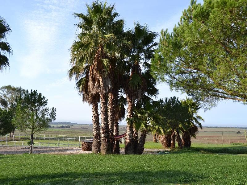 صورة الفندق 14