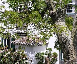 Casa das Calhetas - Turismo de Habitação Senhora dos Afflictos Portugal