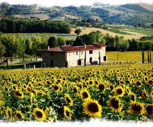 Fontegirasole Paciano Italy