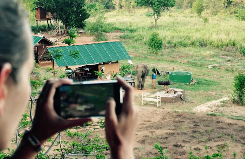 Elephant Watch Hut Habarana