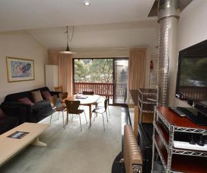 Mowamba D5 Thredbo Australia