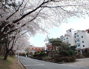 Hotel Valentine Gyeongju Gyeongju South Korea