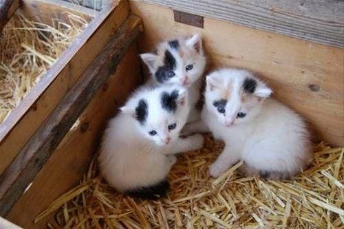 صورة الفندق 7