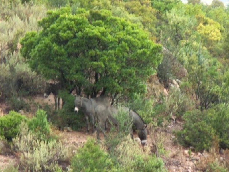 صورة الفندق 5