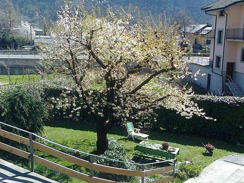 صورة الفندق 1