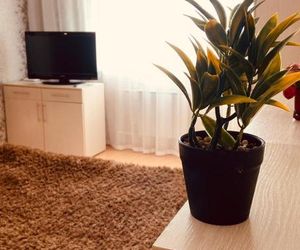 Apartment Sura Sport Penza Russia