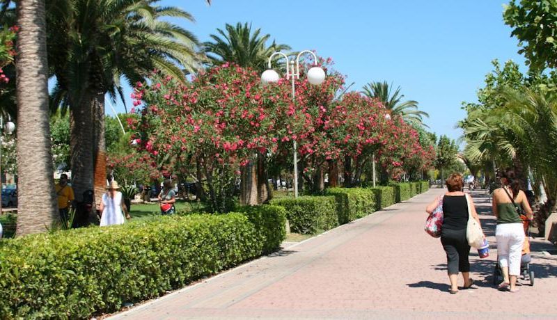 صورة الفندق 18