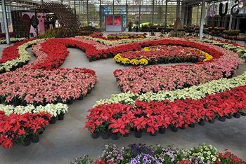 صورة الفندق 20