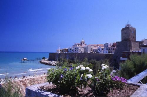 صورة الفندق 24