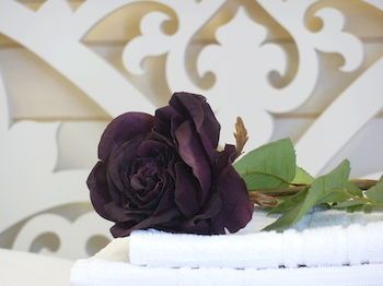 صورة الفندق 22